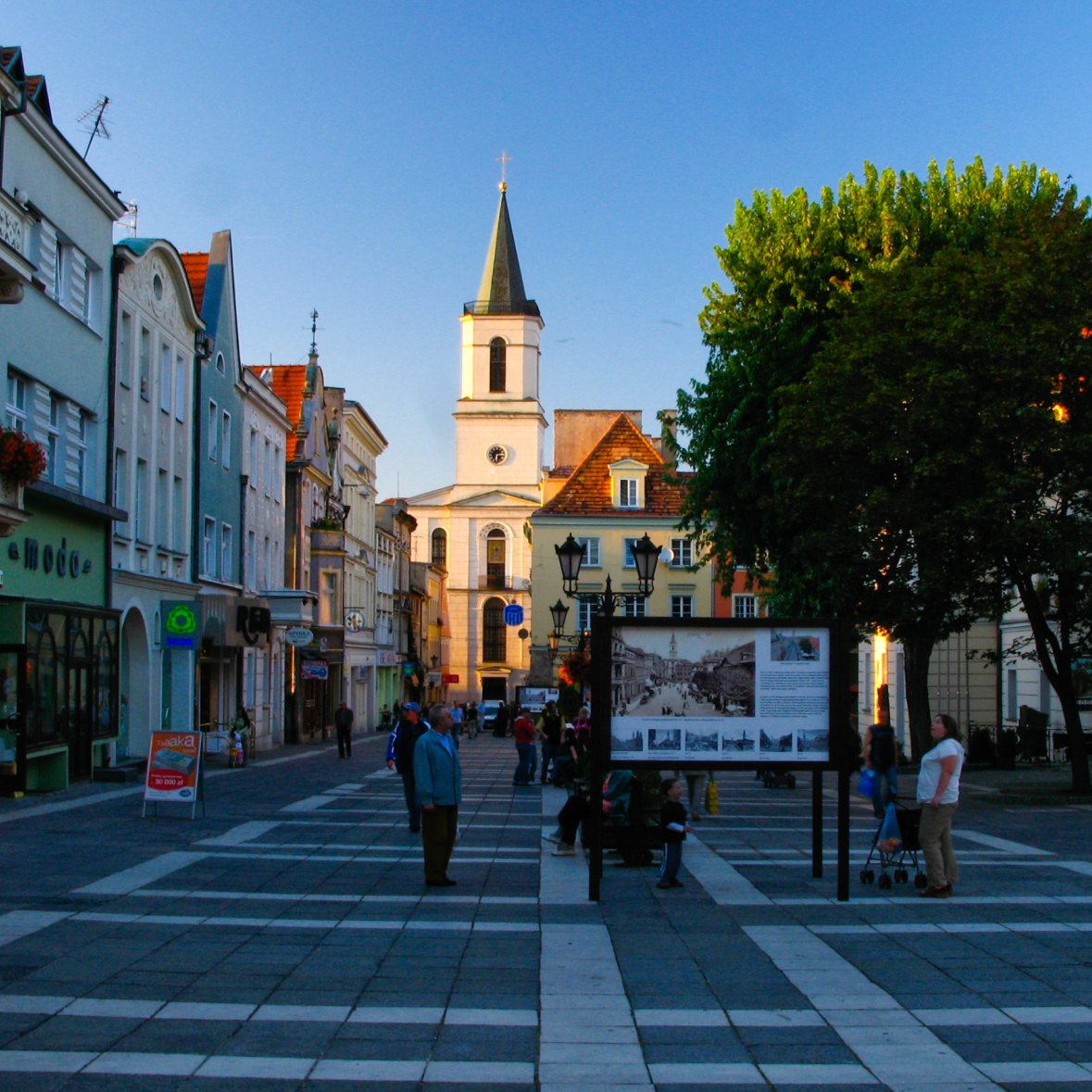 Strony internetowe Zielona Góra, projektowanie stron www Zielona Góra, strony www Zielona Góra